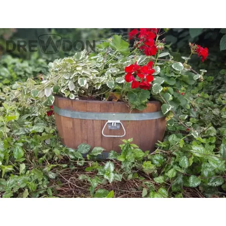 Cebrzyk sosna 22xH20 k. orzech