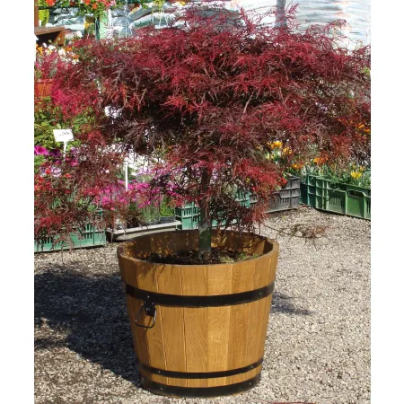 Donica dąb 45xH40 k. dąb